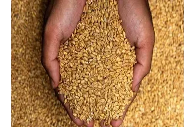 CESTAT New Delhi – Advance Crop Care & Others: Excise Duty Partly Upheld, Subsequent Period Liability Limited, Penalties Partly Set Aside.